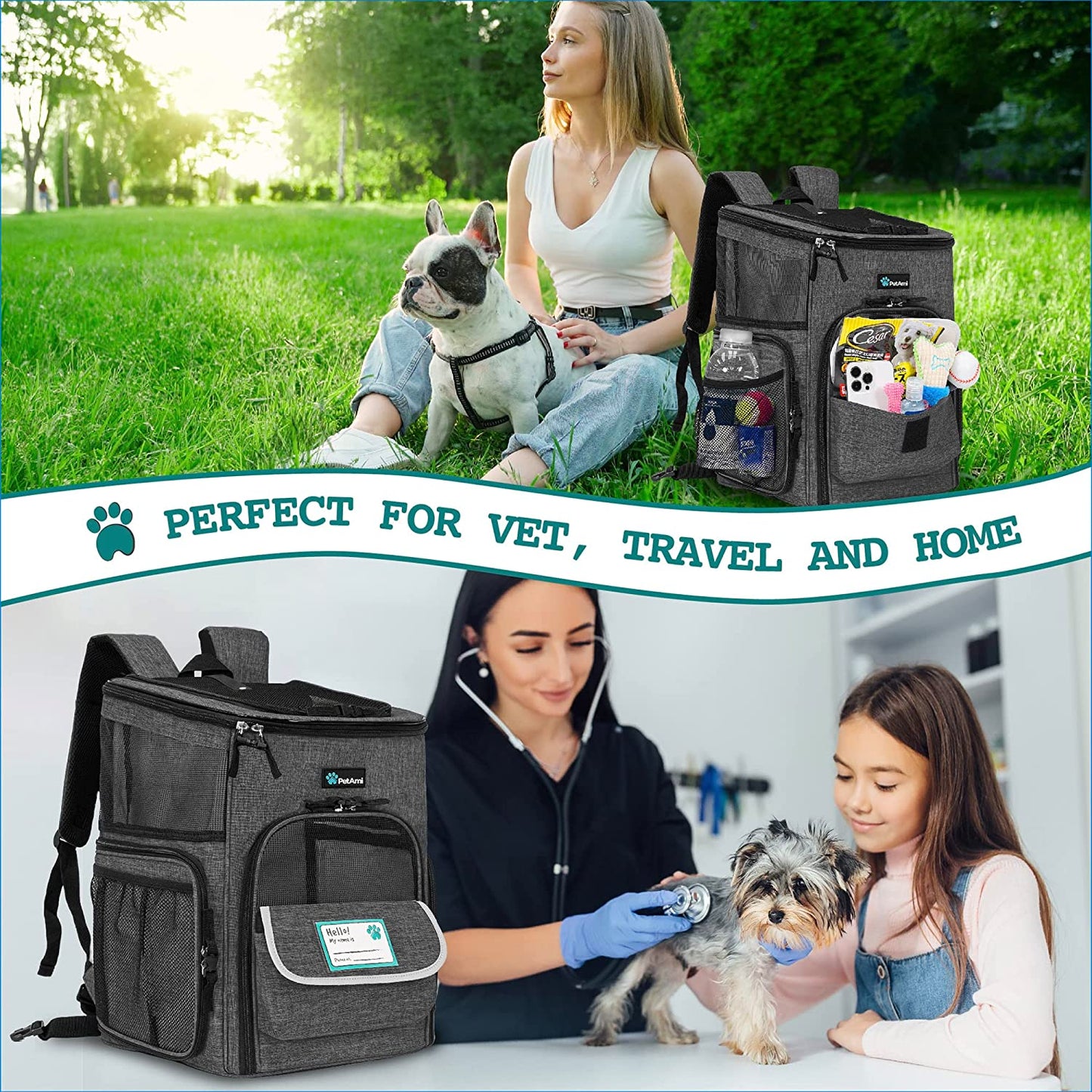 Petami Dog Backpack Carrier, Airline Approved 4-Way Entry Cat Backpack Carrier, Ventilated Mesh, Collapsible Pet Carrier for Small Puppy, Kitten, Hiking, Travel Car, Vet, up to 18 Lbs, Charcoal Gray