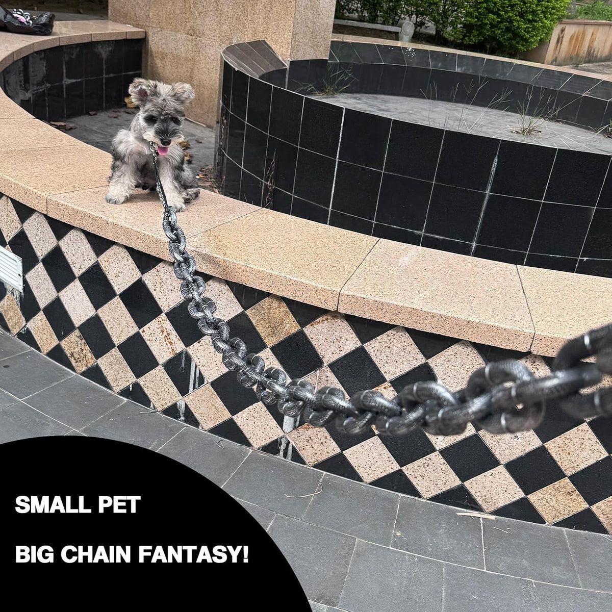 🐾 Viral Vault™ Chain Reaction™ — Funny 6-Foot Small Pet Leash