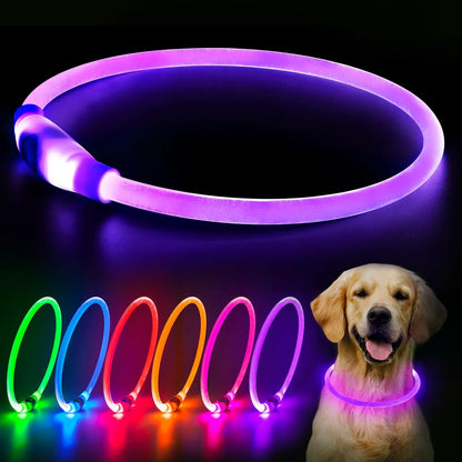 Flashseen LED Dog Collar, USB Rechargeable Glowing Lighted up Collar, Cuttable Water-Resistant TPU Safety Collar Lights for Small Medium Large Dogs