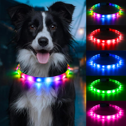 Flashseen LED Dog Collar, USB Rechargeable Glowing Lighted up Collar, Cuttable Water-Resistant TPU Safety Collar Lights for Small Medium Large Dogs