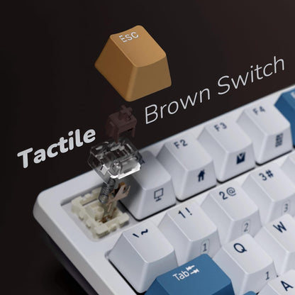 RK ROYAL KLUDGE RK98 Wireless Mechanical Keyboard, Tri-Mode 2.4G/BT5.1/USB-C Hot Swappable Full Size Keyboard, RGB Backlit Gaming Keyboard, Massive Battery Software Support, Brown Switch