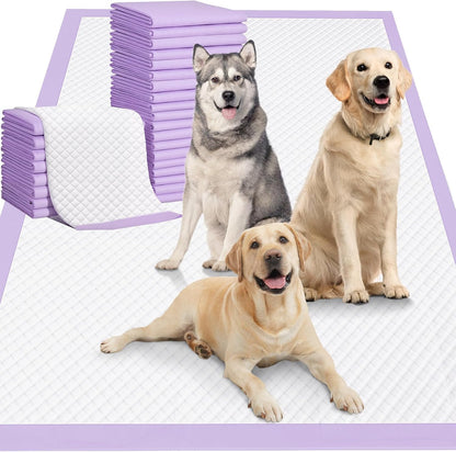 **Vault Pet Finds™ Ultra Absorbent XXXXL Dog Training Pads – 36" x 36" Jumbo Disposable Pee Pads, Heavy Absorbency, Leak-Proof, Quick-Dry for Dogs, Cats & Rabbits (30 Count)**