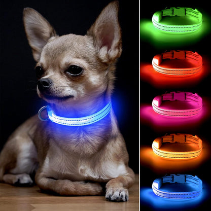 BSEEN Adjustable LED Dog & Cat Collar - Rechargeable, Small Breeds, Green, 8.5-11.8 Inches, Nylon, Lightweight, Reflective, 2 Flash Modes