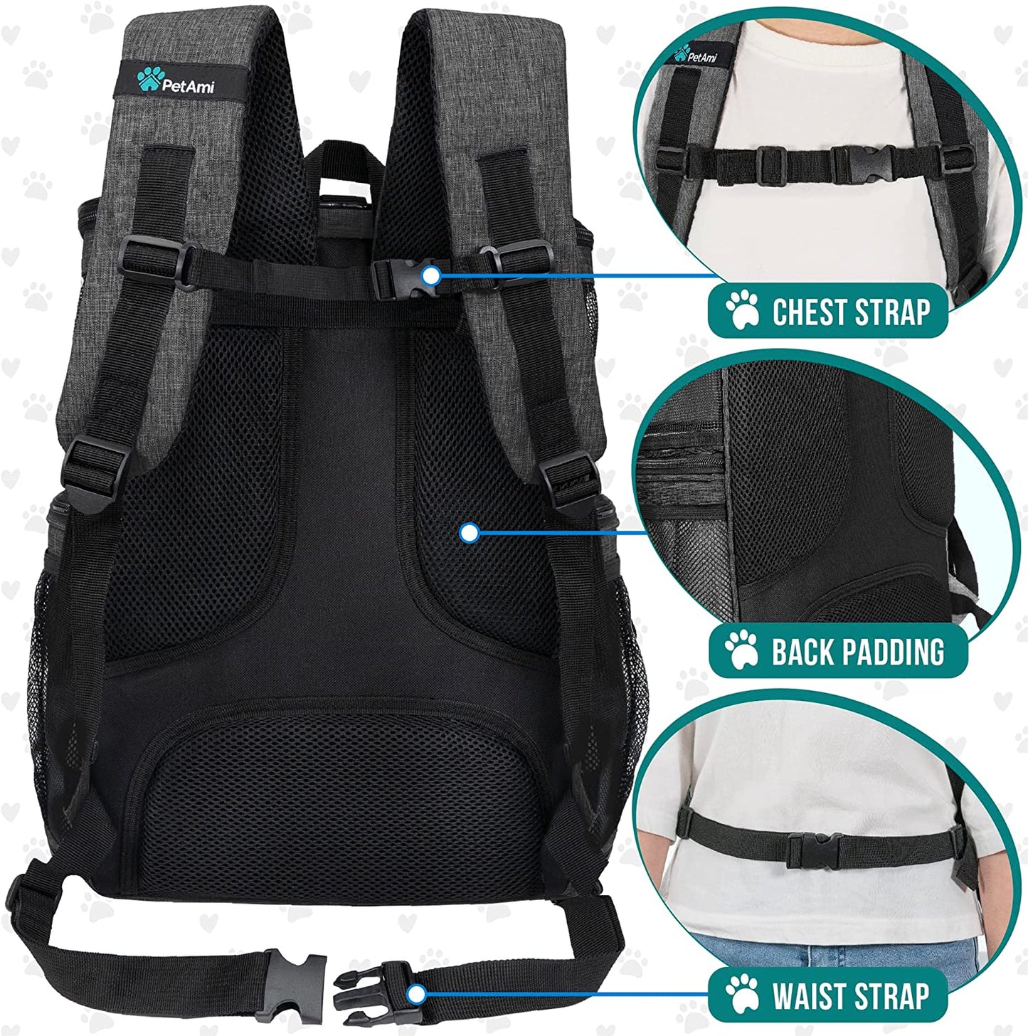 Petami Dog Backpack Carrier, Airline Approved 4-Way Entry Cat Backpack Carrier, Ventilated Mesh, Collapsible Pet Carrier for Small Puppy, Kitten, Hiking, Travel Car, Vet, up to 18 Lbs, Charcoal Gray