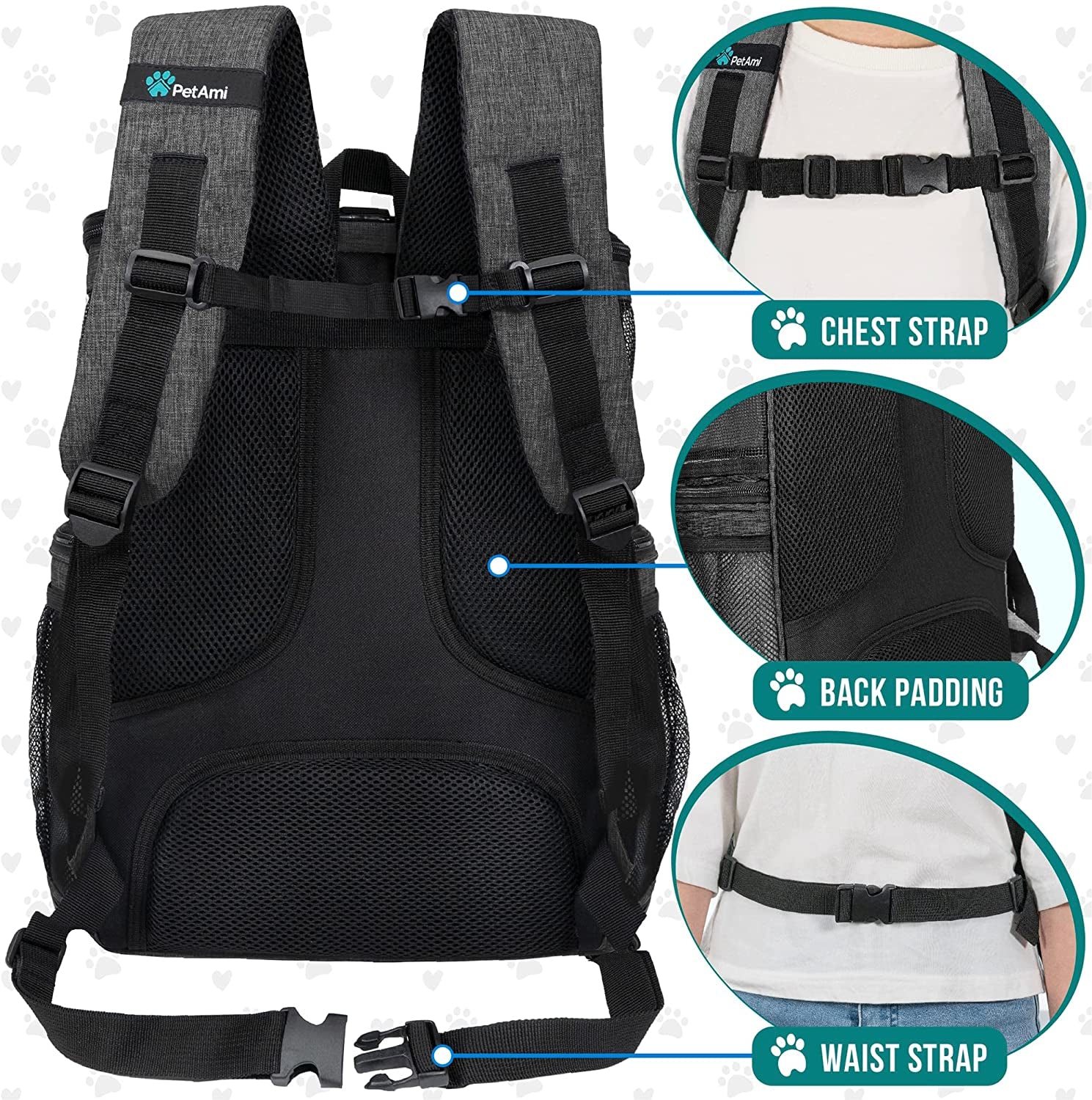 Petami Dog Backpack Carrier, Airline Approved 4-Way Entry Cat Backpack Carrier, Ventilated Mesh, Collapsible Pet Carrier for Small Puppy, Kitten, Hiking, Travel Car, Vet, up to 18 Lbs, Charcoal Gray