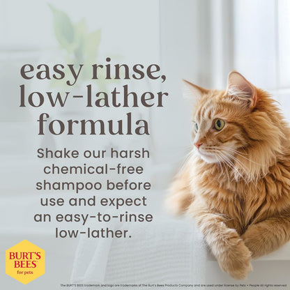 Burt'S Bees for Pets Tearless Kitten Shampoo with Buttermilk and Honey, 99% Natural Origin Gentle Cat Shampoo for Sensitive and Itchy Skin, Ph Balanced and Fragrance-Free, 10 Fl Oz