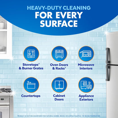 Lysol Pro Kitchen Spray Cleaner and Degreaser, Antibacterial All Purpose Cleaning Spray for Kitchens, Countertops, Ovens, and Appliances, Citrus Scent, 22Oz