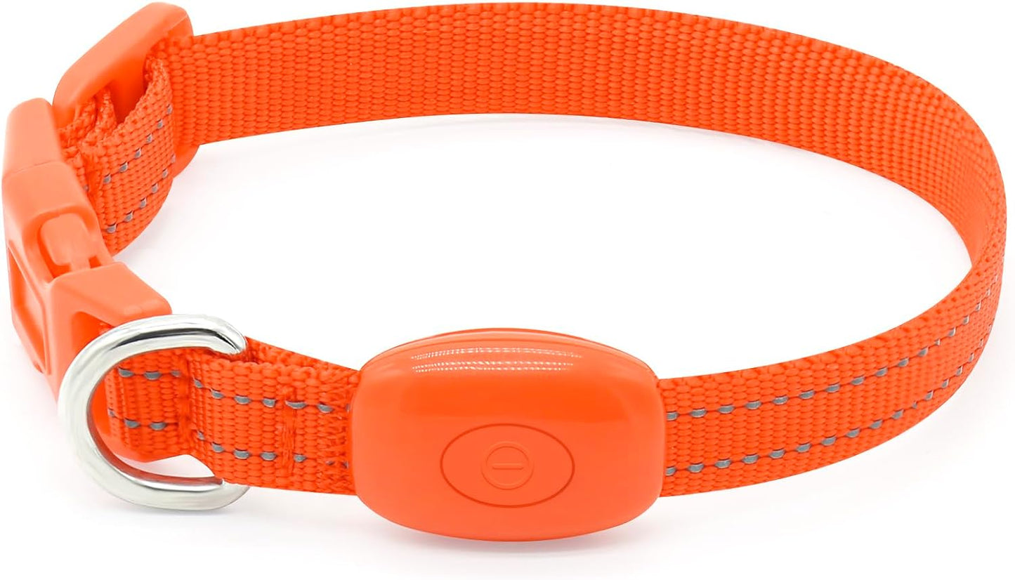 BSEEN Adjustable LED Dog & Cat Collar - Rechargeable, Small Breeds, Green, 8.5-11.8 Inches, Nylon, Lightweight, Reflective, 2 Flash Modes