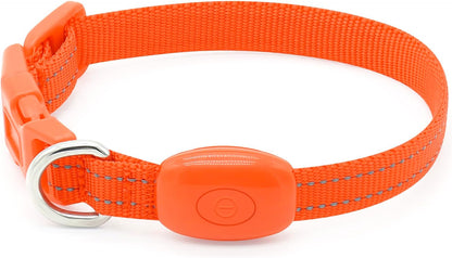 BSEEN Adjustable LED Dog & Cat Collar - Rechargeable, Small Breeds, Green, 8.5-11.8 Inches, Nylon, Lightweight, Reflective, 2 Flash Modes