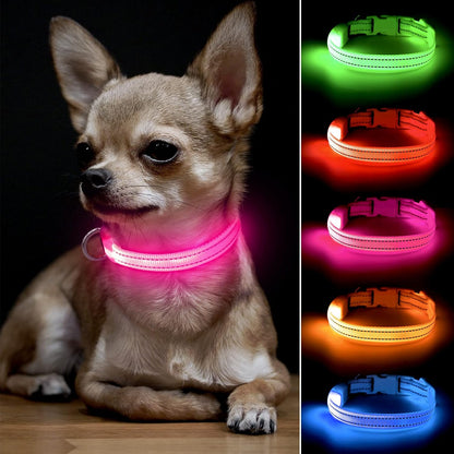 BSEEN Adjustable LED Dog & Cat Collar - Rechargeable, Small Breeds, Green, 8.5-11.8 Inches, Nylon, Lightweight, Reflective, 2 Flash Modes