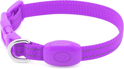 BSEEN Adjustable LED Dog & Cat Collar - Rechargeable, Small Breeds, Green, 8.5-11.8 Inches, Nylon, Lightweight, Reflective, 2 Flash Modes