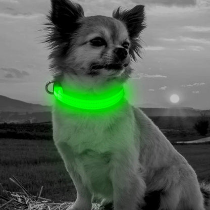 BSEEN Adjustable LED Dog & Cat Collar - Rechargeable, Small Breeds, Green, 8.5-11.8 Inches, Nylon, Lightweight, Reflective, 2 Flash Modes