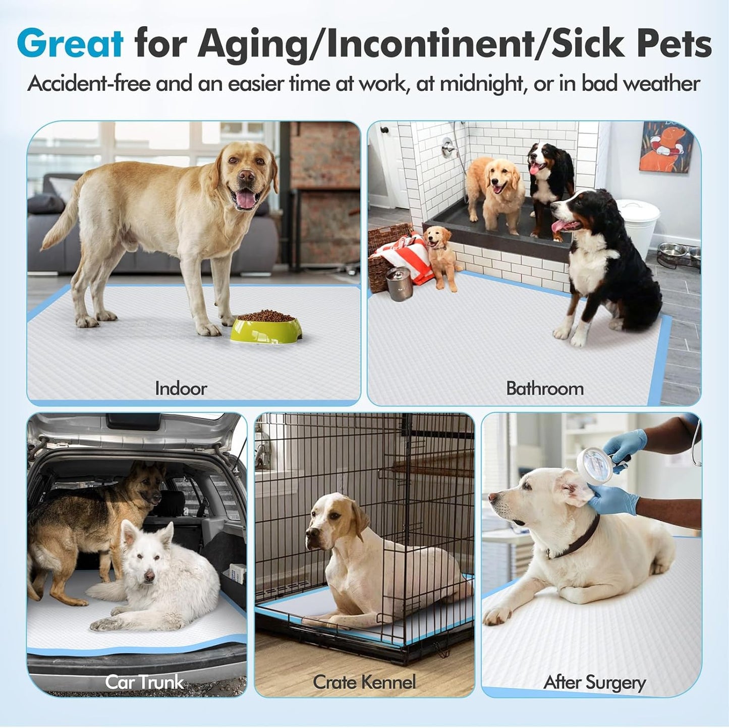 **Vault Pet Finds™ Ultra Absorbent XXXXL Dog Training Pads – 36" x 36" Jumbo Disposable Pee Pads, Heavy Absorbency, Leak-Proof, Quick-Dry for Dogs, Cats & Rabbits (30 Count)**