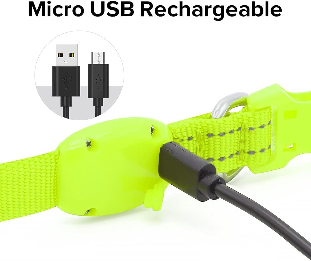 BSEEN Adjustable LED Dog & Cat Collar - Rechargeable, Small Breeds, Green, 8.5-11.8 Inches, Nylon, Lightweight, Reflective, 2 Flash Modes