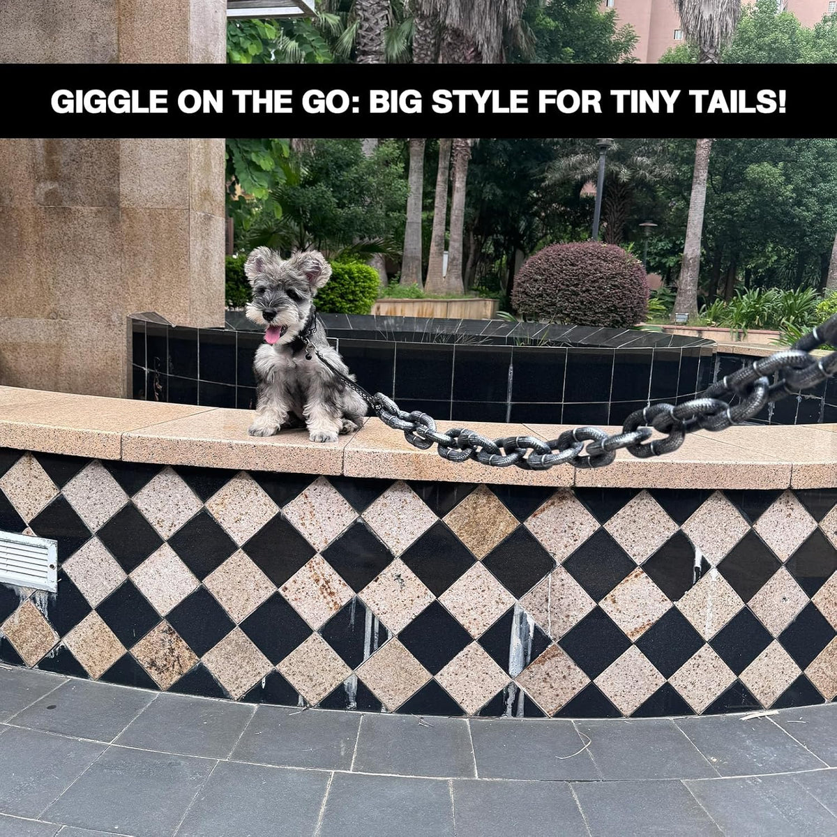🐾 Viral Vault™ Chain Reaction™ — Funny 6-Foot Small Pet Leash