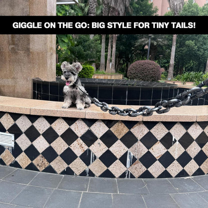 🐾 Viral Vault™ Chain Reaction™ — Funny 6-Foot Small Pet Leash