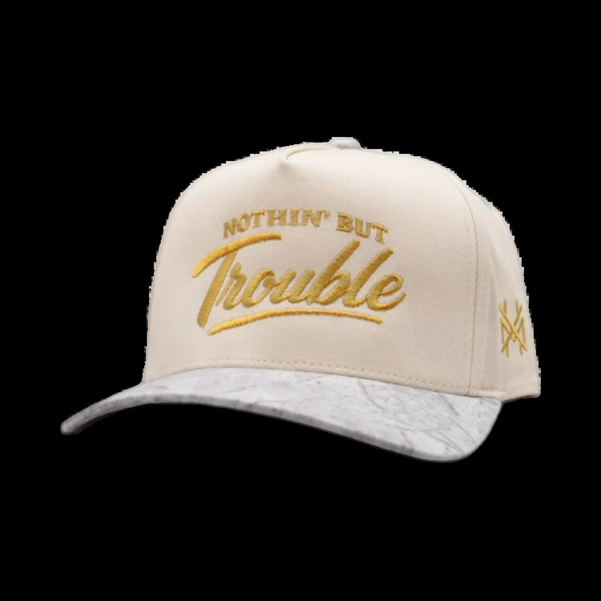 Nothing but Trouble Premium Trucker Snapback Hat