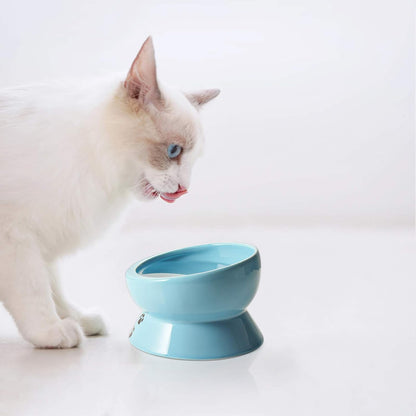 Y YHY Ceramic 15 Ounce Slanted Cat Food Water Bowl, Lake Blue