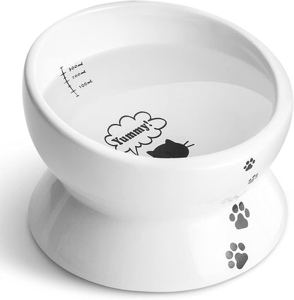 Y YHY Ceramic 15 Ounce Slanted Cat Food Water Bowl, Lake Blue